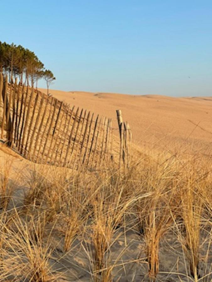אודנאז' Au Coeur Du Bassin D'Arcachon,Tres Bel Appartement Avec Terrasse מראה חיצוני תמונה